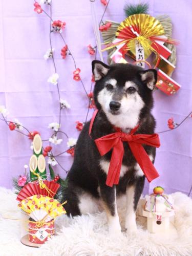 20230126ひめちゃん